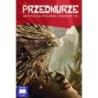 Przedmurze  (mobi)